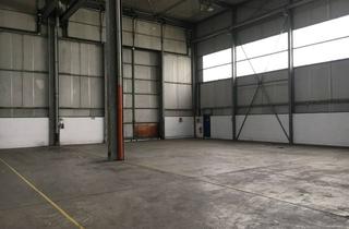 Gewerbeimmobilie mieten in Brunnenweg, 64584 Biebesheim am Rhein, Lagerhalle in Biebesheim – provisionsfrei vom Eigentümer!