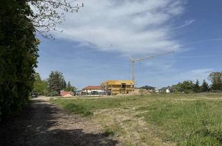 Grundstück zu kaufen in 04564 Böhlen, Ideales und sonniges Baugrundstück in Großdeuben- Mitten im Neuseenland