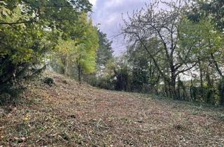 Grundstück zu kaufen in 63579 Freigericht, Baugrundstück mit Blick