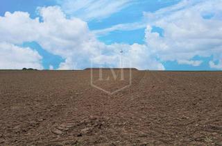 Immobilie kaufen in 52428 Jülich, Ackerland in Jülich