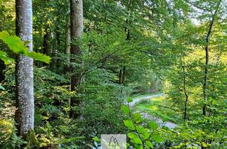 Gewerbeimmobilie kaufen in 82065 Baierbrunn, Ihr EIGENER Wald in Münchens schönem Süden