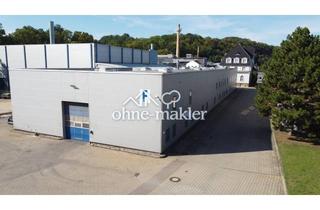 Büro zu mieten in 01809 Dohna, Hallen- und Lagerflächen in 01809 Dohna (Gebäude F1)