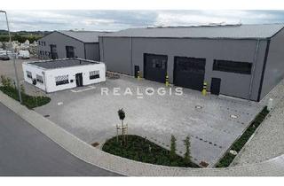 Gewerbeimmobilie mieten in 61449 Steinbach, Lager/ Produktion - 4,00 bis 7,00 m UKB - Anbindung an die A5