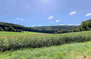 Anlageobjekt in 92348 Berg, Ihr Rückzugsort im Grünen – Gestalten Sie Ihr Traumhaus in idyllischer Lage