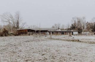 Immobilie kaufen in 64668 Rimbach, Stillgelegter Pferdehof