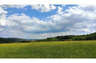 Wohnung mieten in 89233 Neu-Ulm, MÖBLIERTES SINGLE-APARTMENT IN RUHIGER LAGE VON REUTTI