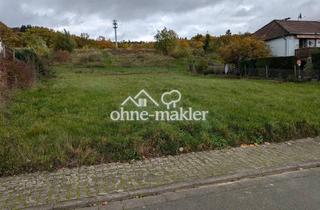 Immobilie kaufen in Hirschgraben 17, 65520 Bad Camberg, Grundstück in Traumlage zu verkaufen!