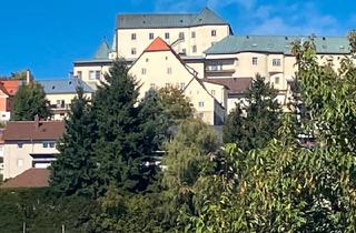 Wohnung kaufen in 94538 Fürstenstein, Fürstenstein - Wohnen in alten Mauern am Schloss mit einzigartigem Ausblick
