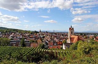 Wohnung kaufen in 79346 Endingen, Endingen am Kaiserstuhl - 2-Zimmer-Penthauswohnung