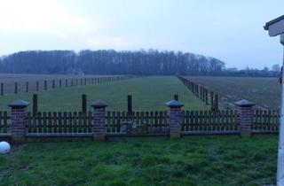 Einfamilienhaus kaufen in 47652 Weeze, Weeze - Hochwertiges EFH in Traumlage