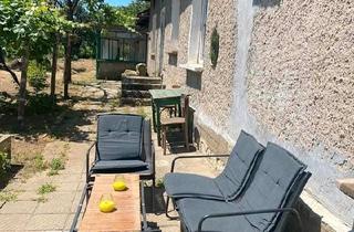 Einfamilienhaus kaufen in 77933 Lahr, Lahr (Schwarzwald) - Freistehendes 5-Zimmer-Haus mit großem Grundstück in Bulgarien