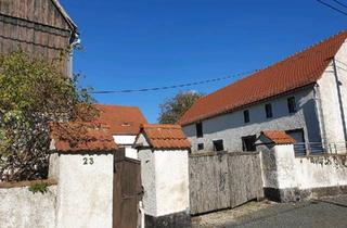 Bauernhaus kaufen in 04774 Dahlen, Dahlen - Bauernhof mit 3870qm Mischbaufläche schöne Loftwohnung 04774Börln