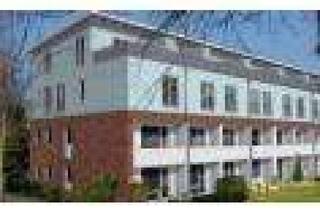 Wohnung mieten in 21035 Bergedorf, Top 1 Zi. Wohnung in absolut ruhiger Lage - sonniger Terrasse