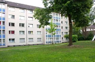 Wohnung mieten in Ehrenzeller Str. 69, 45143 Altendorf, Neue Wohnung – Neues Glück