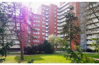 Wohnung mieten in Theodor-Heuss-Straße, 21337 Lüneburg, Schön geschnittene 2-Zimmer-Wohnung