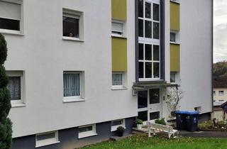 Wohnung mieten in Wittgensteiner Str. 100, 57072 Siegen, ab 15.11.25: renovierte, helle, gut geschnittene 2ZKB Wohnung mit Balkon & Keller (Whg 8)