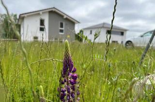 Haus kaufen in 09526 Pfaffroda, Modernes Familienhaus mit 162m² in idyllischem Wohngebiet!