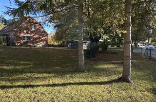 Haus kaufen in Klützer Straße 17, 23948 Damshagen, Ältere DHH in Damshagen , gr. Grdst. mit altem Baumbestand/ 8 km zum Ostseebad Boltenhagen.