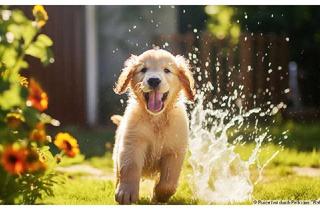 Haus kaufen in 04651 Bad Lausick, Hier können Sie gut schlafen