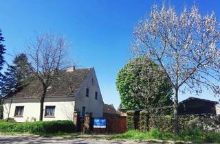 Bauernhaus kaufen in 16259 Oderaue, Vielseitiger Bauernhof mit großem Nebengelass und Baulandreserve