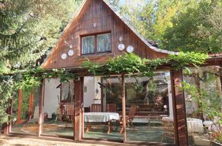 Einfamilienhaus kaufen in 29456 Hitzacker, Gepflegtes Einfamilienhaus mit großer Garage