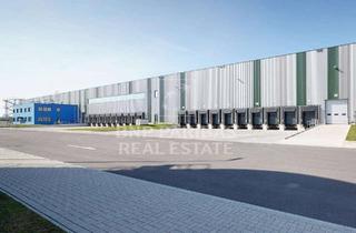 Gewerbeimmobilie mieten in 27404 Elsdorf, Im Auftrag - 30.000 m² WGK-Lager - Sofort Verfügbar
