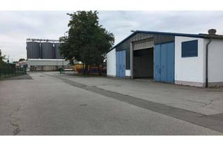 Büro zu mieten in Brunnenweg, 64584 Biebesheim, Lagerhalle/Werkstatt mit Büro in Biebesheim – provisionsfrei vom Eigentümer!