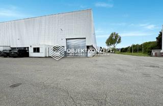 Gewerbeimmobilie mieten in 78056 Villingen-Schwenningen, Modern. Ebenerdig. Und maximal belastbar. Produktionshalle mit Krananlagen & 10 m Deckenhöhe