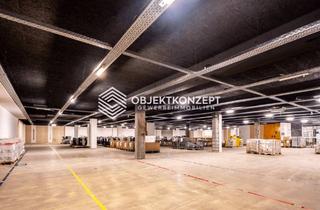 Gewerbeimmobilie mieten in 78136 Schonach, Effizienter Gewerbestandort im Schwarzwald: Lagerflächen mit Laderampen, Aufzügen und PV-Anlage