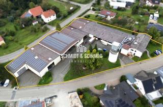 Gewerbeimmobilie kaufen in 76703 Kraichtal, Gewerbeeinheit im Kraichtal mitgroßer Hallen - und Lagerfläche