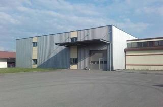 Gewerbeimmobilie mieten in Uhlmannstrasse 42, 88471 Laupheim, Moderne Lagerhalle, Bj.2004,2000m², 2- geschossig mit Aufzug, Rolltor und Schleuse für Be-Entladung