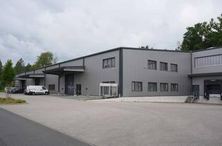 Büro zu mieten in Senfefeldestr. 4a, 63594 Hasselroth, Moderne Produktions- und Lagerfläche mit Büro | Klimatisiert | Hafa-Rampe | Nähe A66/A45