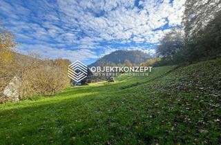 Anlageobjekt in 78736 Epfendorf, Großzügiges 11.100 m² Grundstück zum Toppreis – Sanierung oder Neubau möglich