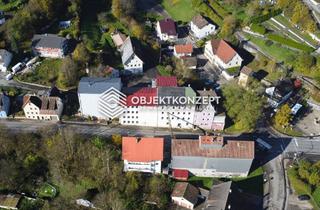 Anlageobjekt in 78736 Epfendorf, 11.100 m² mit historischen Gebäuden und weitläufigen Flächen zum Spitzenpreis