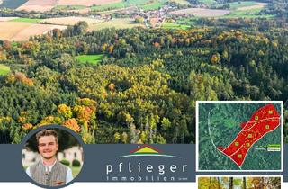 Anlageobjekt in 94086 Bad Griesbach, 1,5 ha forstlich, gepflegter, stabiler Mischwald im mittleren Alter
