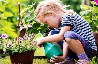 Grundstück zu kaufen in 14167 Zehlendorf, PERFEKT GESCHNITTENES GRUNDSTÜCK !!! JETZT ODER NIE 01791149244