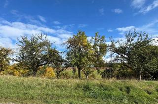 Grundstück zu kaufen in 95349 Thurnau, Wohnen im Grünen - Grundstück in ruhiger Lage