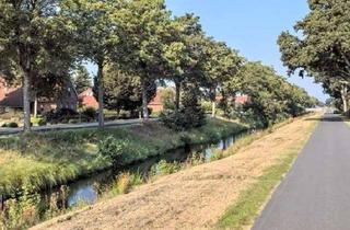 Grundstück zu kaufen in 26842 Ostrhauderfehn, Holterfehn - 1,5 ha Grünland mit direkter Straßenzuwegung