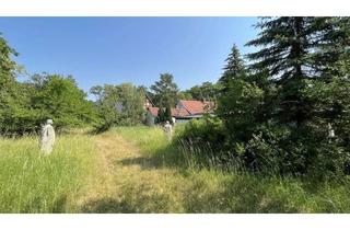 Grundstück zu kaufen in 06773 Gräfenhainichen, Bebautes Grundstück zum selbst verwirklichen in der Dübener Heide!