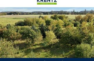 Grundstück zu kaufen in 14641 Wustermark, Wo Bienen summen und Obstbäume blühen-Ihre eigene Streuobstwiese mit über 27.000 m²