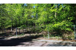 Grundstück zu kaufen in 21077 Eißendorf, Außergewöhnliches Bauland mit besonderer Flora