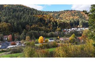 Grundstück zu kaufen in 69250 Schönau, Großes Baugrundstück mit herrlichen Ausblick