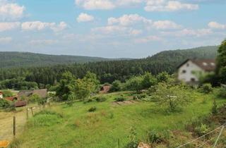 Grundstück zu kaufen in 75323 Bad Wildbad, Baugrundstück mit viel Potenzial in vorteilhafter Lage in Bad Wildbad Ortsteil Sprollenhaus