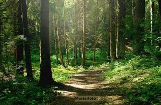 Grundstück zu kaufen in Nachtigallenweg, 14822 Borkheide, Waldflächen im Außenbereich