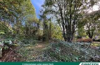 Grundstück zu kaufen in 22941 Bargteheide, Mehr Grundstück. Mehr Freiheit. 2.583 m² Grundstück in gewachsener Villenumgebung