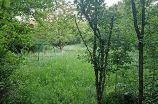 Grundstück zu kaufen in 65929 Höchst, Gartengrundstück in Frankfurt - Höchst zu verkaufen