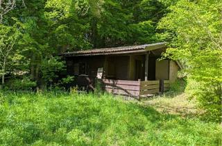 Grundstück zu kaufen in 92262 Birgland, Freizeitgrundstück zum Wohlfühlen
