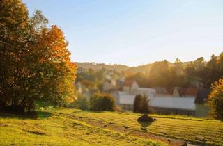 Grundstück zu kaufen in 01855 Sebnitz, !!!PROVISIONSFREI!!! Tolles Grundstück mit viel Potenzial in vorteilhafter Lage in Sebnitz