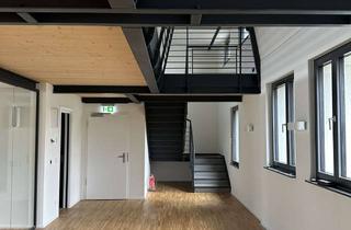 Büro zu mieten in Berlinickestraße 11, 12165 Steglitz, Büroetage Erstbezug nach Renovierung