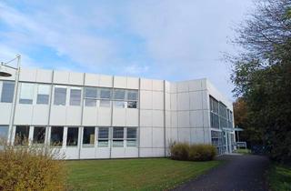 Büro zu mieten in Wittenberger Weg 8a, 24941 Westliche Höhe, attraktive Bürofläche im Stadtteil Westliche Höhen, Flensburg
